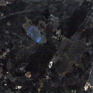 Volga Blue